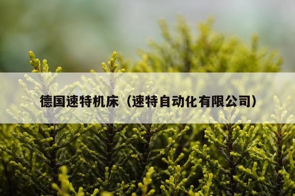 德国速特机床（速特自动化有限公司）