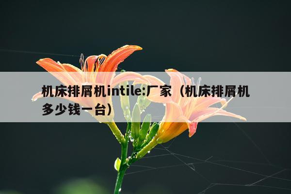 机床排屑机intile:厂家（机床排屑机多少钱一台）