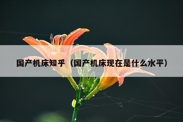 国产机床知乎（国产机床现在是什么水平）