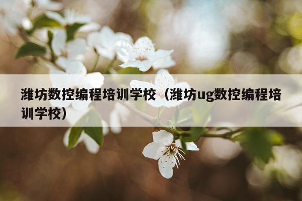 潍坊数控编程培训学校（潍坊ug数控编程培训学校）