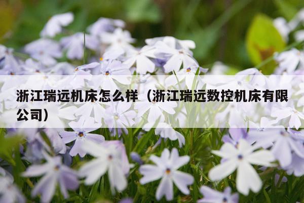 浙江瑞远机床怎么样（浙江瑞远数控机床有限公司）