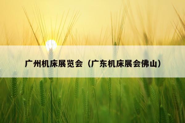 广州机床展览会（广东机床展会佛山）