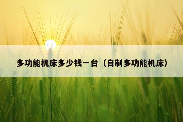 多功能机床多少钱一台（自制多功能机床）