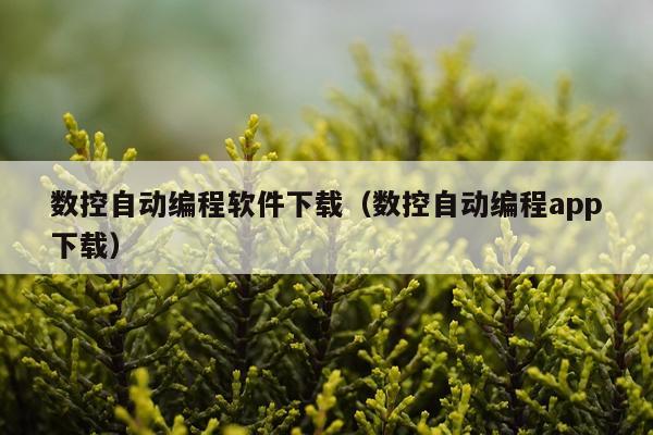 数控自动编程软件下载（数控自动编程app下载）