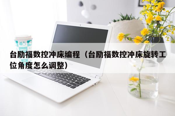 台励福数控冲床编程（台励福数控冲床旋转工位角度怎么调整）