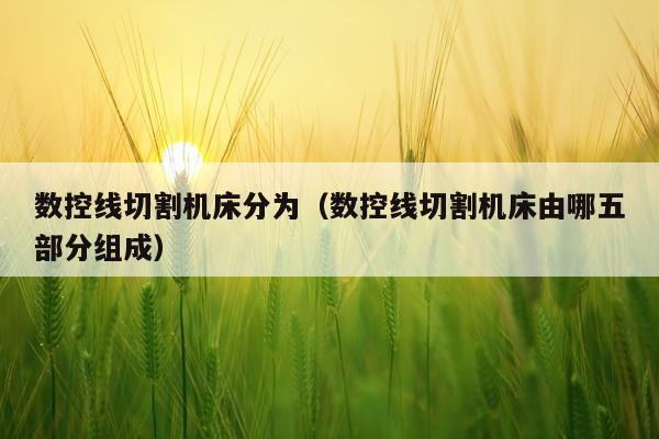 数控线切割机床分为（数控线切割机床由哪五部分组成）