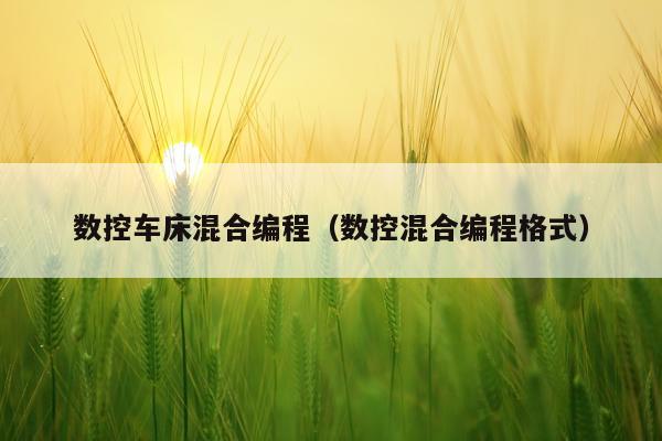 数控车床混合编程(数控混合编程格式)