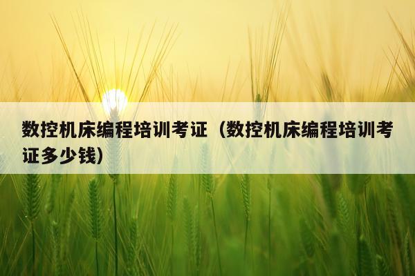 数控机床编程培训考证(数控机床编程培训考证多少钱)