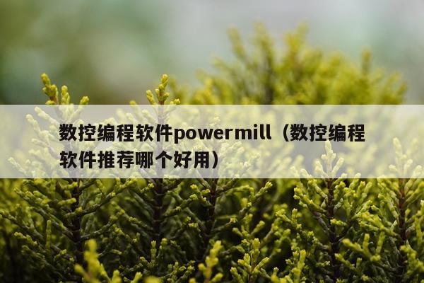 数控编程软件powermill(数控编程软件推荐哪个好用)