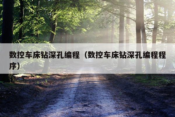 数控车床钻深孔编程(数控车床钻深孔编程程序)