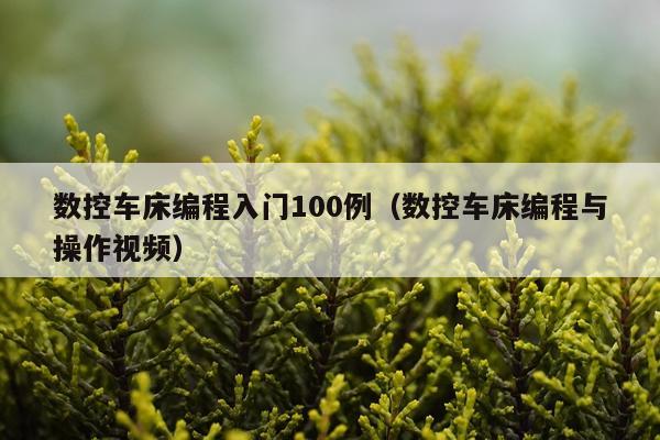 数控车床编程入门100例(数控车床编程与操作视频)