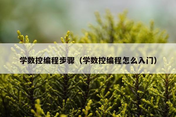 学数控编程步骤(学数控编程怎么入门)