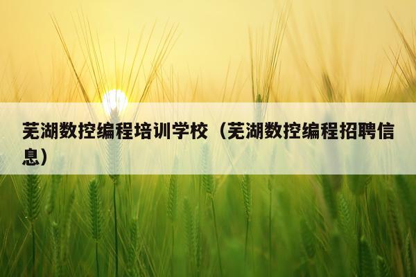 芜湖数控编程培训学校(芜湖数控编程招聘信息)
