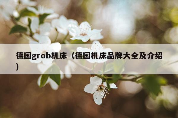 德国grob机床（德国机床品牌大全及介绍）