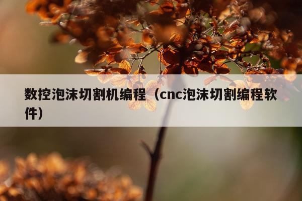 数控泡沫切割机编程（cnc泡沫切割编程软件）