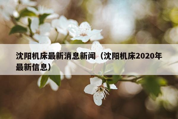 沈阳机床最新消息新闻（沈阳机床2020年最新信息）