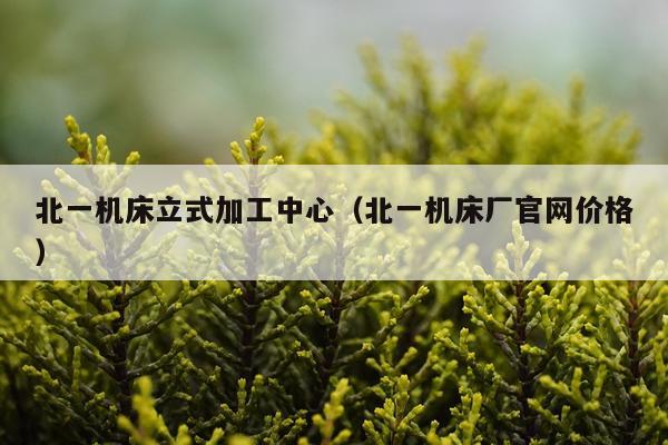 北一机床立式加工中心（北一机床厂官网价格）