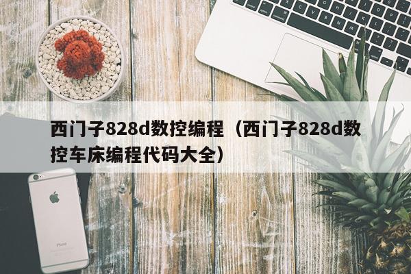 西门子828d数控编程（西门子828d数控车床编程代码大全）