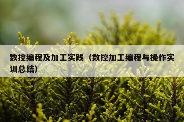 数控编程及加工实践（数控加工编程与操作实训总结）