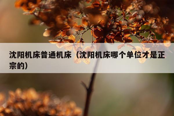 沈阳机床普通机床（沈阳机床哪个单位才是正宗的）