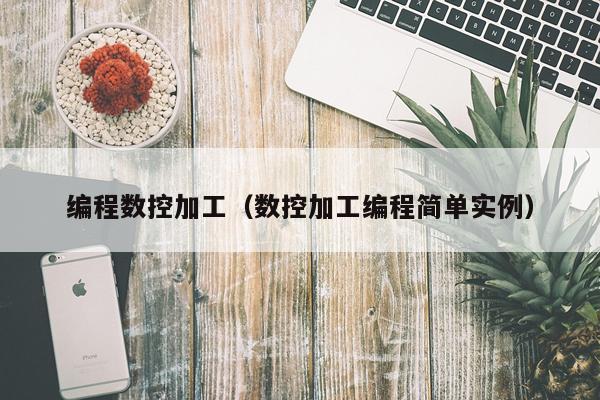编程数控加工（数控加工编程简单实例）