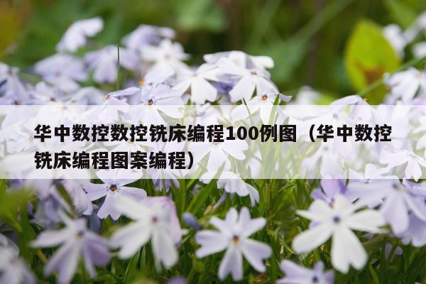 华中数控数控铣床编程100例图（华中数控铣床编程图案编程）