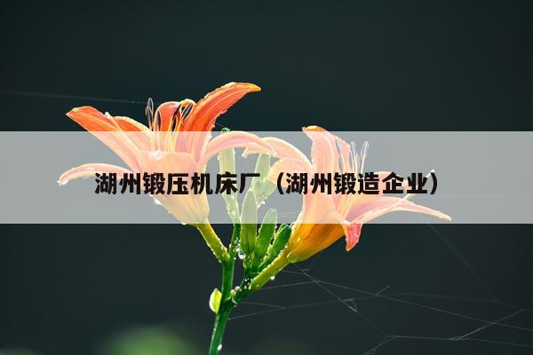 湖州锻压机床厂（湖州锻造企业）