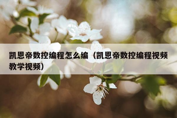 凯恩帝数控编程怎么编（凯恩帝数控编程视频教学视频）