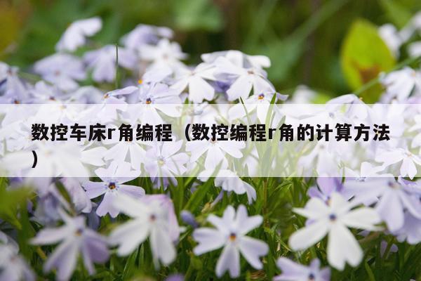 数控车床r角编程（数控编程r角的计算方法）