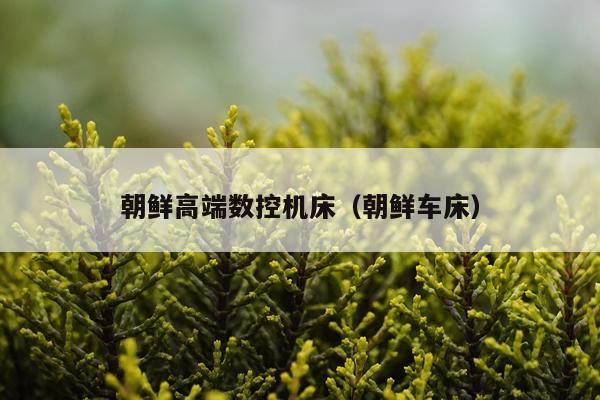 朝鲜高端数控机床（朝鲜车床）