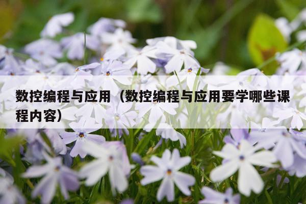 数控编程与应用（数控编程与应用要学哪些课程内容）