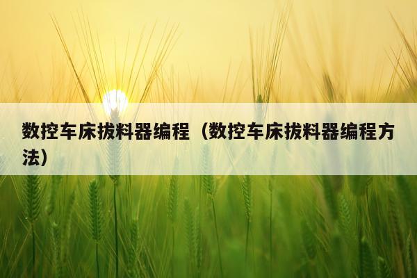 数控车床拔料器编程（数控车床拔料器编程方法）