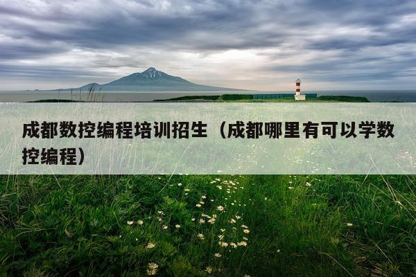 成都数控编程培训招生(成都哪里有可以学数控编程)