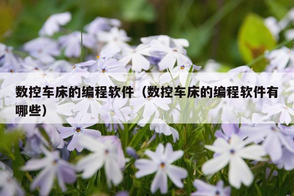 数控车床的编程软件（数控车床的编程软件有哪些）