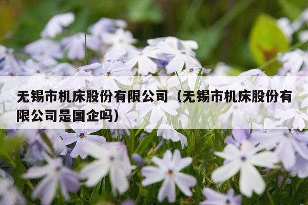 无锡市机床股份有限公司（无锡市机床股份有限公司是国企吗）