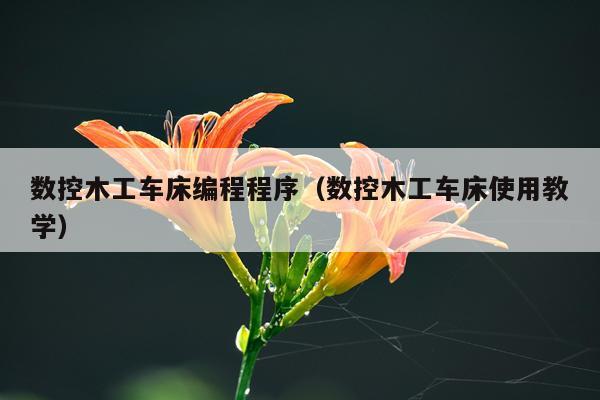 数控木工车床编程程序(数控木工车床使用教学)