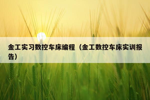 金工实习数控车床编程(金工数控车床实训报告)