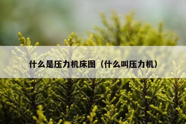 什么是压力机床图(什么叫压力机)