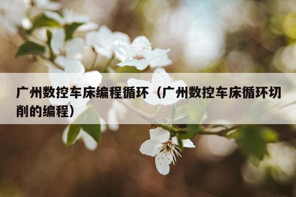 广州数控车床编程循环（广州数控车床循环切削的编程）