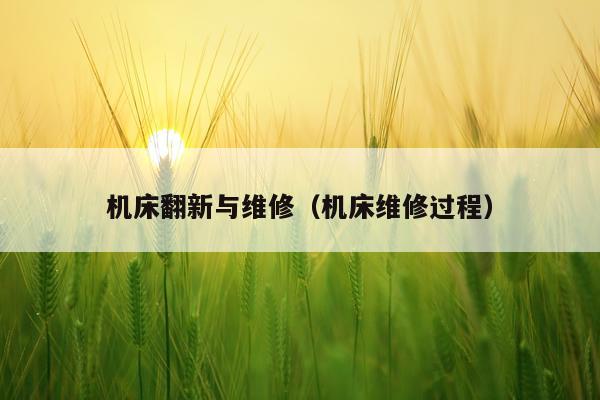 机床翻新与维修(机床维修过程)