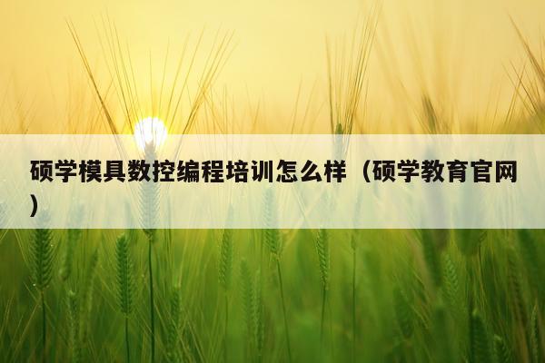 硕学模具数控编程培训怎么样（硕学教育官网）