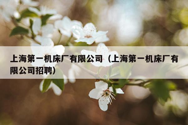 上海第一机床厂有限公司（上海第一机床厂有限公司招聘）