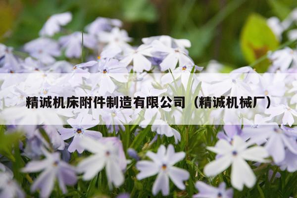 精诚机床附件制造有限公司（精诚机械厂）