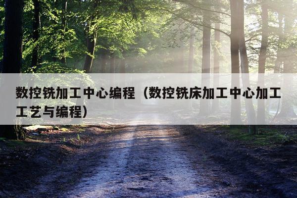 数控铣加工中心编程（数控铣床加工中心加工工艺与编程）