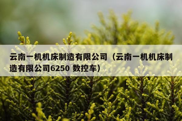 云南一机机床制造有限公司（云南一机机床制造有限公司6250 数控车）