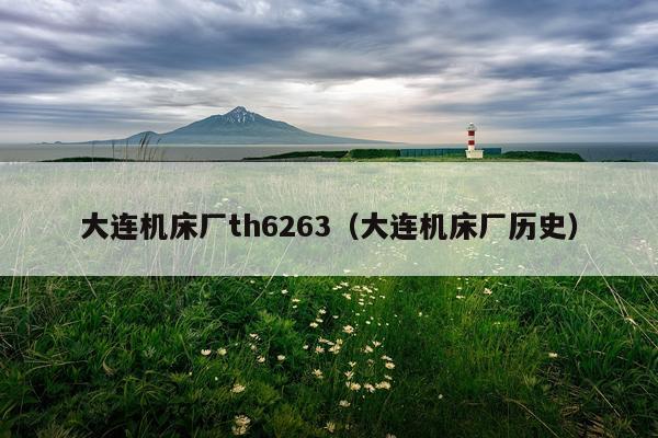 大连机床厂th6263（大连机床厂历史）