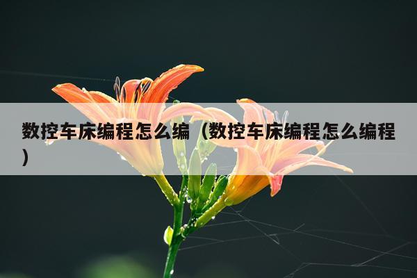 数控车床编程怎么编（数控车床编程怎么编程）