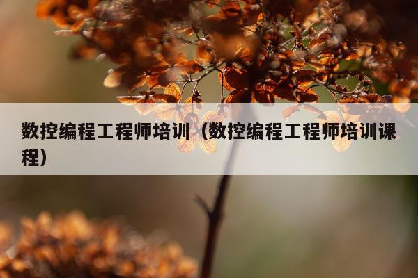 数控编程工程师培训（数控编程工程师培训课程）