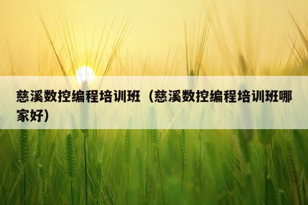 慈溪数控编程培训班（慈溪数控编程培训班哪家好）
