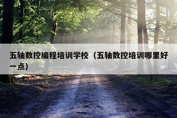 五轴数控编程培训学校(五轴数控培训哪里好一点)